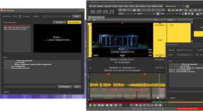 Swedish subtitling formats